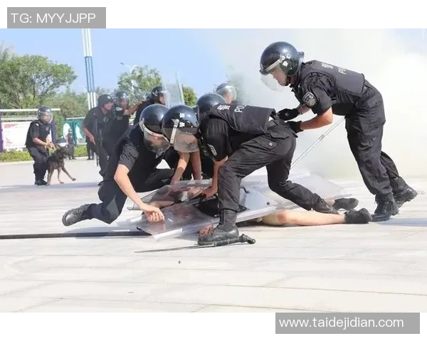 成都滑板队中路突破战术解析与实战应用探讨