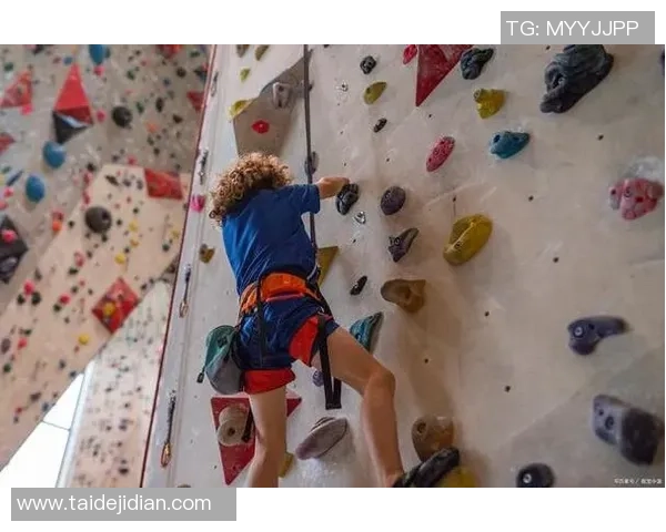 攀岩精神：探讨杭州攀岩队员的心理素质与挑战应对能力