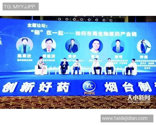 广州飞盘队快攻革新之路：从战术创新到团队协作的全面提升