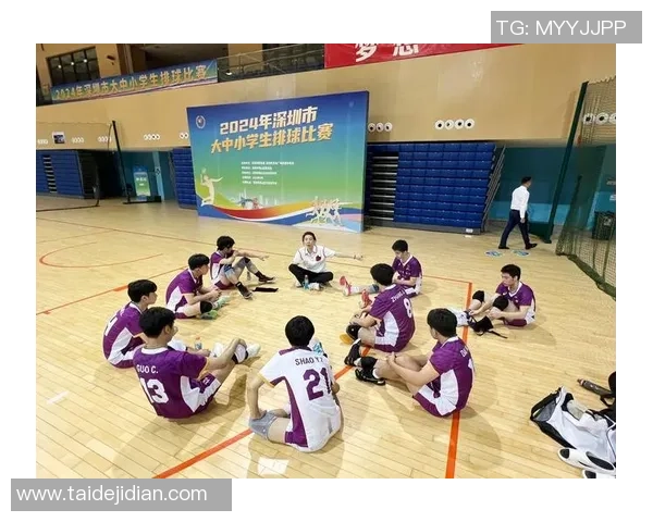 深圳排球队逆袭之路的真实记录与奋斗精神的展现