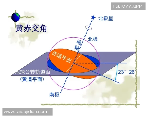 西安极限运动队战术转型解析与未来发展趋势探讨