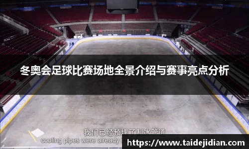 冬奥会足球比赛场地全景介绍与赛事亮点分析