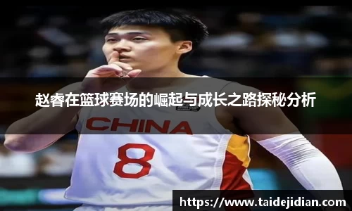 赵睿在篮球赛场的崛起与成长之路探秘分析