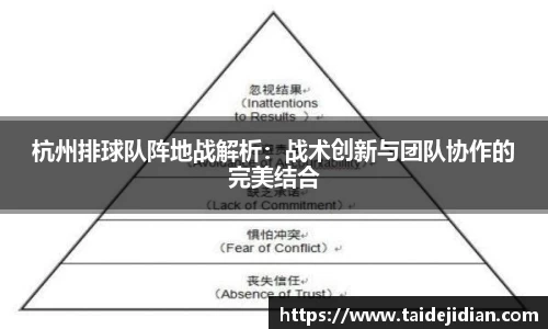 杭州排球队阵地战解析：战术创新与团队协作的完美结合